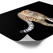 Tap Dance Poster (Hoek)