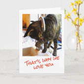 Tap danser Verjaardagskaart Kaart (Gele Bloem)