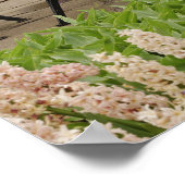 Tapeltjes in de tuin, Keukenhof Tuinen, Poster (Hoek)