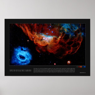 Tapestry of Blazing Starborn (NGC 2014, NGC 2020) Poster