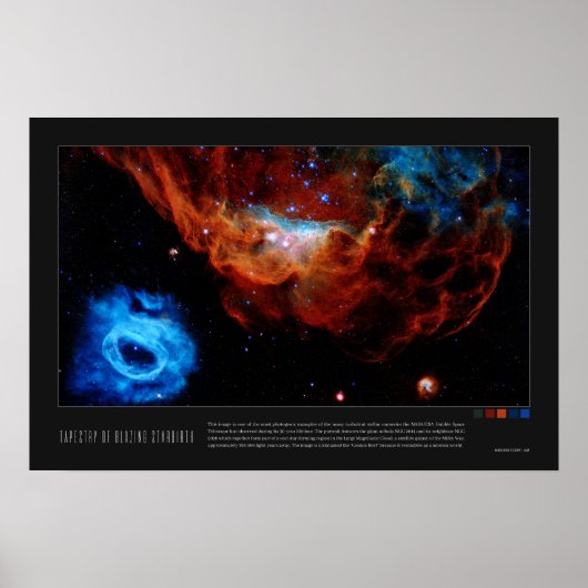 Tapestry of Blazing Starborn (NGC 2014, NGC 2020) Poster (Voorkant)