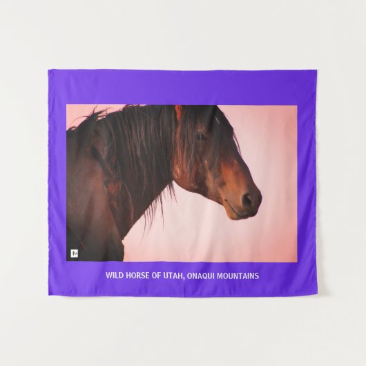 TAPESTRY WILD HORSE OF UTAH, ONAQUI MOUNTAINS WANDKLEED (Voorkant (horizontaal))