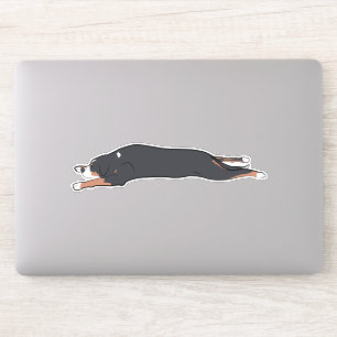 Tapijt Swissy Sticker