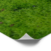 Tapijt van mos - May the Road - Ierse zegen Poster (Hoek)