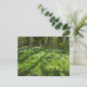 Tapijt van wilde knoflook met boomschaduwen. briefkaart (Staand voorkant)