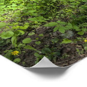 Tapijt van wilde knoflook met boomschaduwen poster (Hoek)