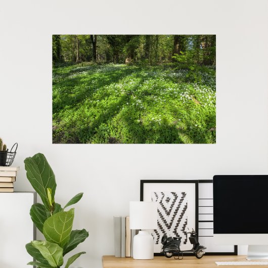 Tapijt van wilde knoflook met boomschaduwen poster (Thuiskantoor)