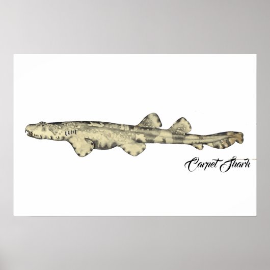 Tapijthaai klein poster (Voorkant)