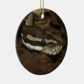 tapijtpython keramisch ornament (Rechts)