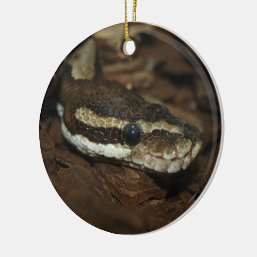 tapijtpython keramisch ornament (Links)