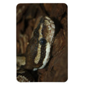 tapijtpython magneet (Verticaal)