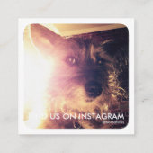 tapijtschelp afsprakenkaartje (Achterkant)