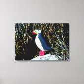 tapijtschelp in een tapijtschelp canvas afdruk (Voorkant)