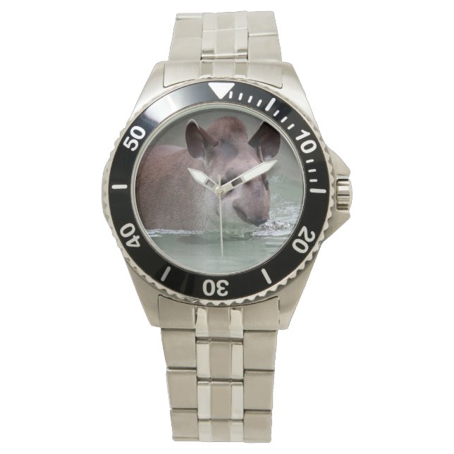 Tapir_2015_0101 Horloge (Voorkant)