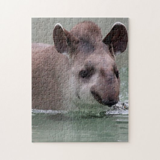 Tapir_2015_0101 Legpuzzel (Verticaal)
