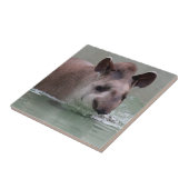 Tapir_2015_0101 Tegeltje (Zijkant)