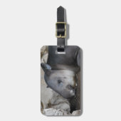 Tapir Bagagelabel (Voorkant verticaal)