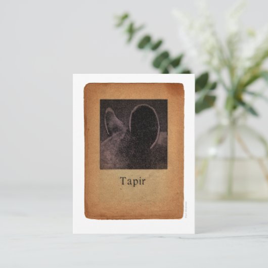 Tapir Briefkaart (Staand voorkant)