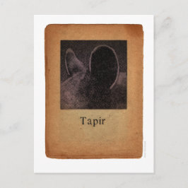 Tapir Briefkaart