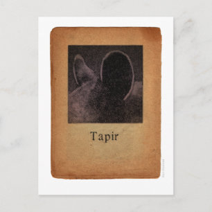 Tapir Briefkaart