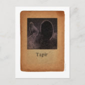 Tapir Briefkaart (Voorkant)