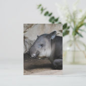 Tapir Briefkaart (Staand voorkant)