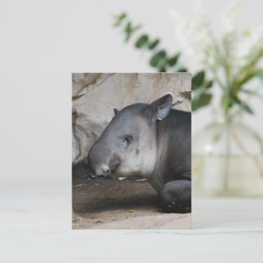 Tapir Briefkaart (Staand voorkant)