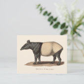 TAPIR-BRIEFKAART BRIEFKAART (Staand voorkant)