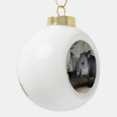 Tapir Keramische Bal Ornament (Links)