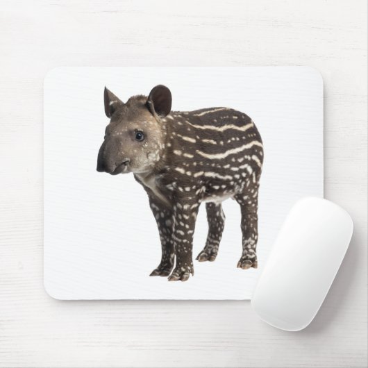 Tapir Muismat (Met muis)