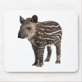 Tapir Muismat (Voorkant)