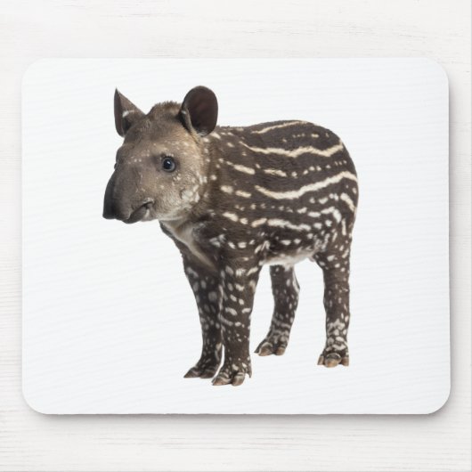 Tapir Muismat (Voorkant)