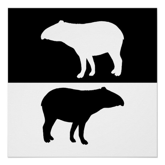 Tapir Perfect Poster (Voorkant)