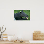Tapir Poster (Keuken)
