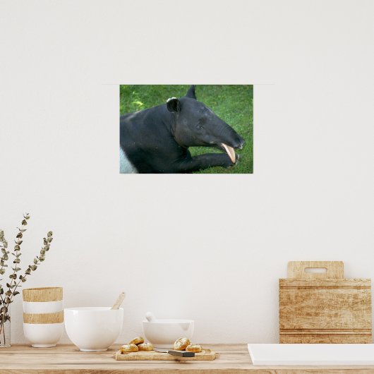 Tapir Poster (Keuken)
