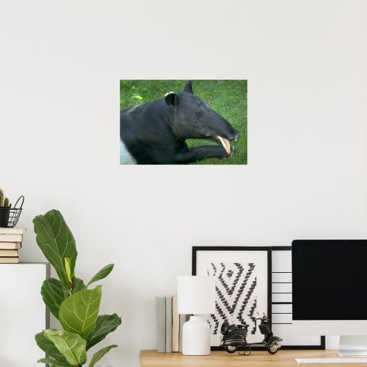Tapir Poster (Thuiskantoor)