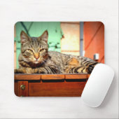 Tapis muizen kat op tuintafel muismat (Met muis)