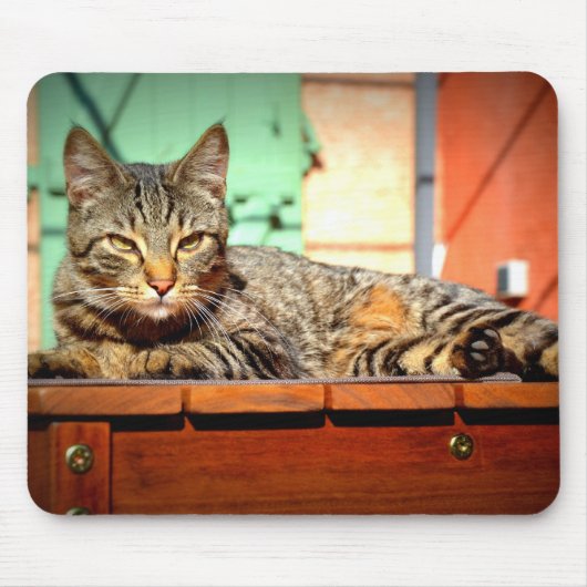 Tapis muizen kat op tuintafel muismat (Voorkant)