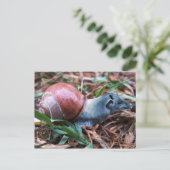 Tapisnagelbriefkaart Briefkaart (Staand voorkant)