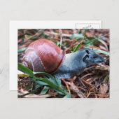 Tapisnagelbriefkaart Briefkaart (Voorkant / Achterkant)