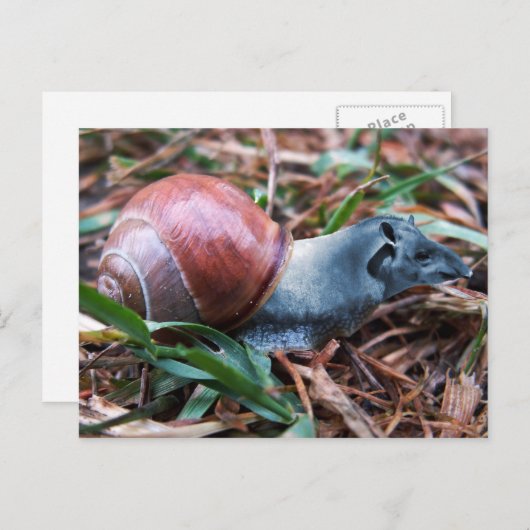 Tapisnagelbriefkaart Briefkaart (Voorkant / Achterkant)