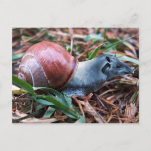 Tapisnagelbriefkaart Briefkaart