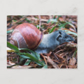 Tapisnagelbriefkaart Briefkaart (Voorkant)