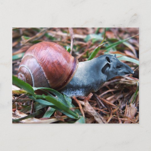 Tapisnagelbriefkaart Briefkaart (Voorkant)