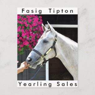 Tapit - Rote Hip no.140 Briefkaart