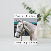 Tapit - Rote Hip no.140 Briefkaart (Staand voorkant)