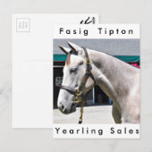 Tapit - Rote Hip no.140 Briefkaart (Voorkant / Achterkant)