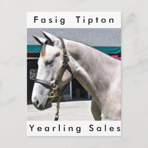 Tapit - Rote Hip no.140 Briefkaart