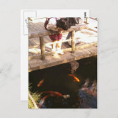 Tapvijver Briefkaart (Voorkant / Achterkant)