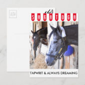 Tapwrit en altijd dromen briefkaart (Voorkant / Achterkant)
